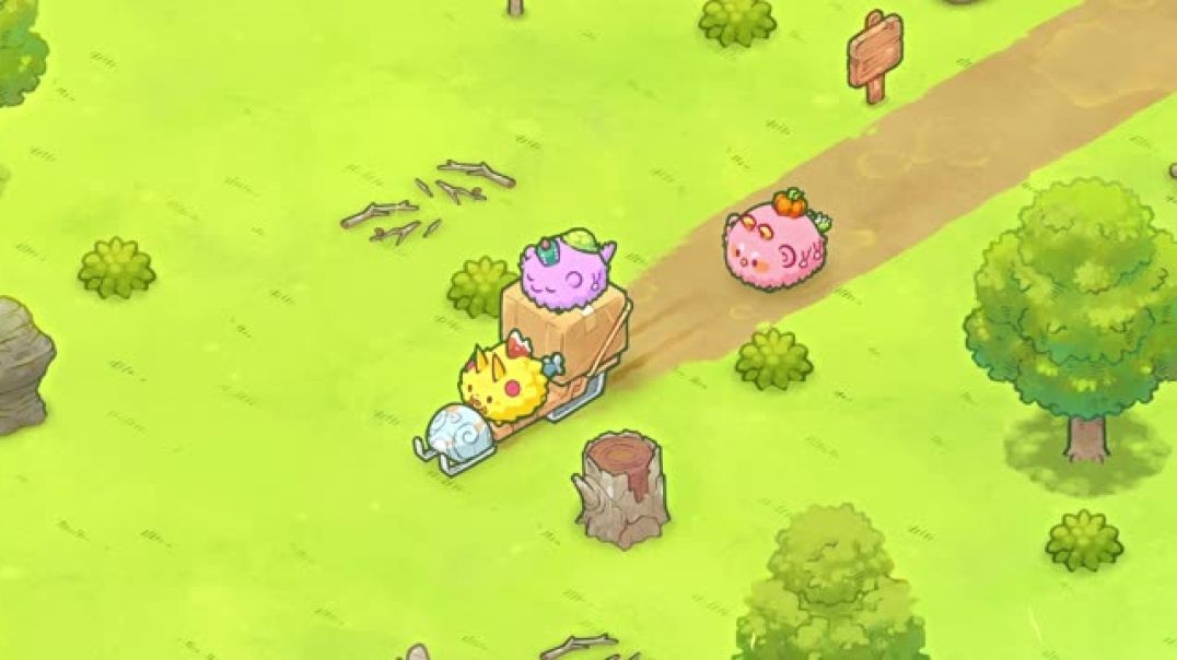 AXIE TEASER